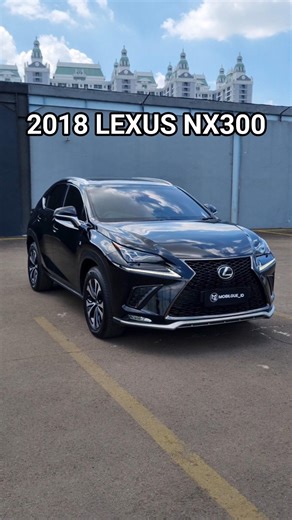 2018 LEXUS NX300 F-SPORT