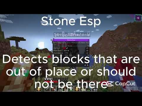 The best addon for donutsmp meteor client | DUPE | NOT PATCHED