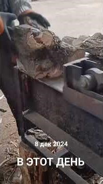 Wood Splitters: The Ultimate Firewood Solution