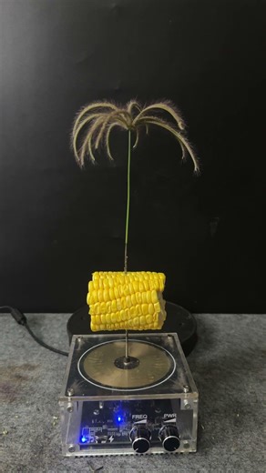 Tesla coil + Corn + grass