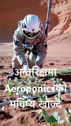 Aeroponics Mato bina ko kheti ko bhabisya 🌱🫜 #fyp #trending #reels #viral #facts