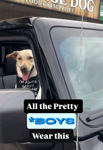 Handmade Bandanas for Your Stylish Dog