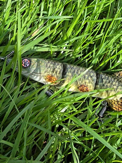 #alien_predator_lures #fishing #lure #pike #lurefishing