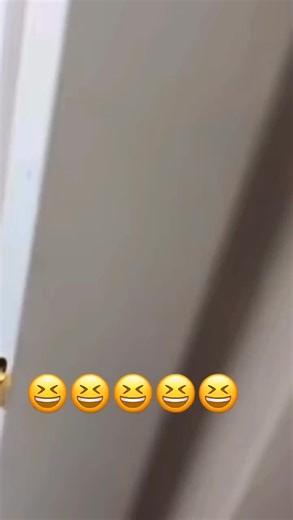 What he up to now 😁💯 #jam #dance #foryoupage #fypシ