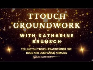 TTouch Groundwork - The Playground for Higher Learning