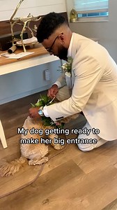 113K views · 3.4K reactions | I’m still crying over this… 懶 #wedding #dogs #puppylove #Love #dogsoftiktok #lunatheminicockapoo | Luna Cockapoo | Facebook