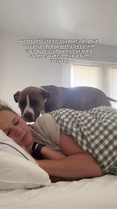 304K views · 27K reactions | thank you to azula for always holding me accountable and making sure i rise and grind every single morning. even when im sick  #rescuedogsofinstagram #pitbullsofinstagram #dogmom #dogreels #rescuedog #shelterdog #dogtraining | Harvey The Rescue | Facebook