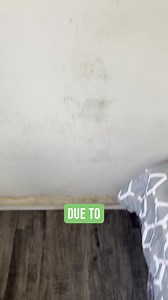 Do You Suspect Mold in Your Home? LA Mold Testing just got easier. At Mold Testing & Removal Los Angeles, we use state-licensed inspectors and lab-certified results to uncover what’s really behind your walls. ✔️ Fast scheduling ✔️ Accurate air and surface testing ✔️ Same-day reports available If you live in Los Angeles and think you may have mold — don’t wait. Call now or message us for your inspection. | Mold Testing & Mold Removal Los Angeles - 424 369-7947 | Facebook