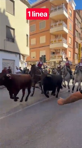 Entrada de toros y caballos Lliria 2026