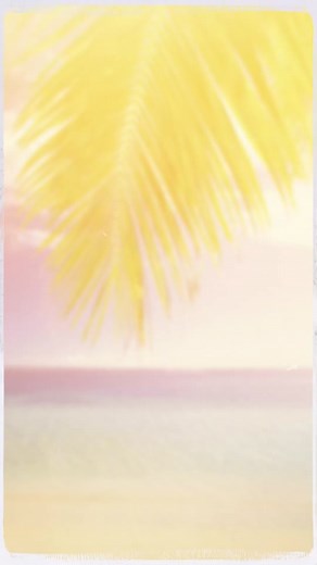 Wicker Paradise Furniture on TikTok