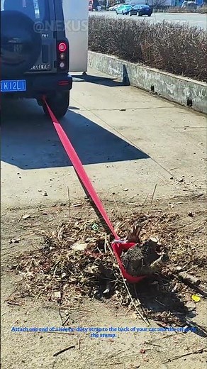 Can’t pull out a tree stump? Just use a strap + a car, and it’ll come out by the roots!
