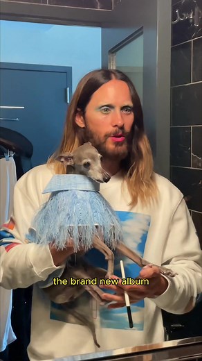 Hot Mess Makeup Tutorial with Tika the Iggy: Colorful Inspiration