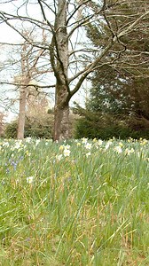 22 reactions | In Palace House this week, there are traditional games and bonnets to try, bunny characters to find  and spring Easter decorations around the house!  There’s still time to join us this Easter holiday! 朗 https://bit.ly/3Pn9s06 | Beaulieu, National Motor Museum | Facebook