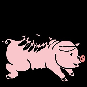 “When pigs fly:” Essential English Idioms, Expressions, and Proverbs! (English Vocabulary Lesson)