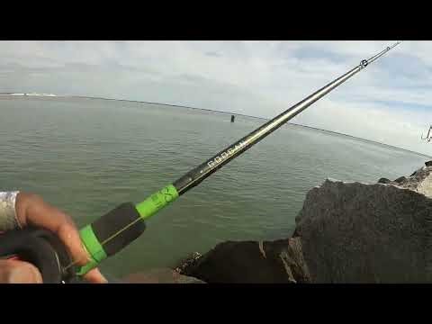 Fishing the Naval Base Mayport, FL