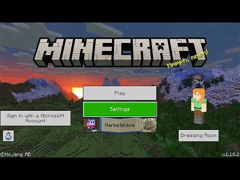 Custom Skin and Texture Pack On Minecraft Nintendo Switch Edition