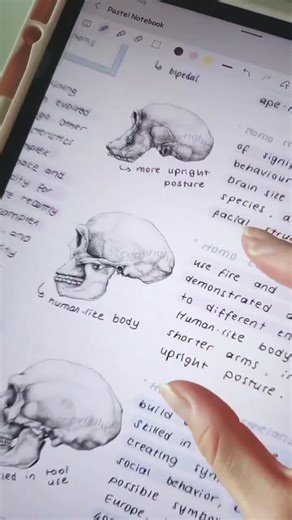 Samsung Notes Digital Notebook | Samsung Note Planner | Student Android Digital Planner | Samsung Note Template | Organic Chemistry Notes - Etsy