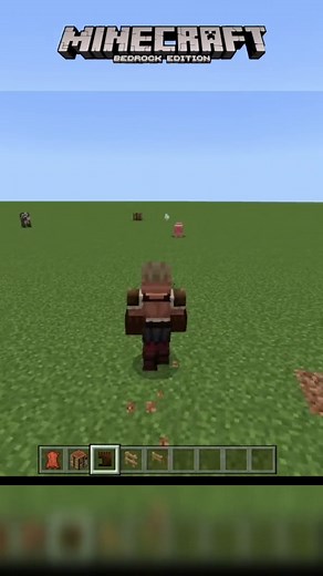 How to Carry Animals in Minecraft - Mod Guide