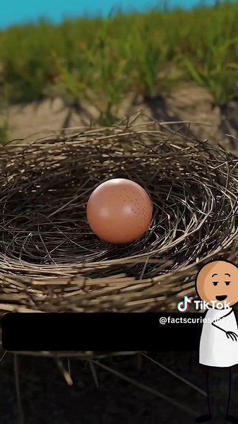 Amazing physics #amazing #physics #fyp viral #usa🇺🇸 #unitedstates | Physics TikTok