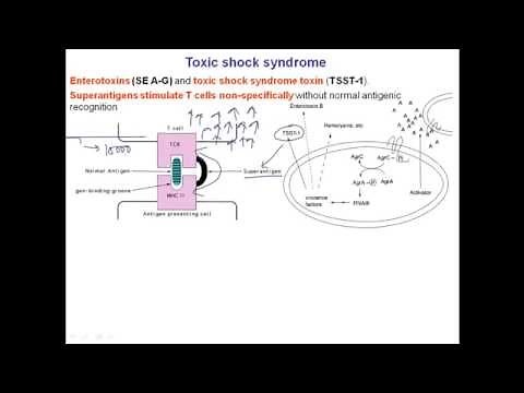 Toxic shock syndrome
