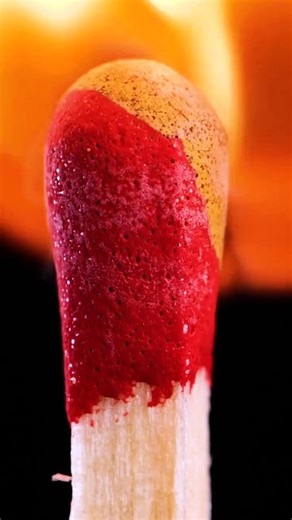 Serenity in Motion | A Journey to Calm and Peace