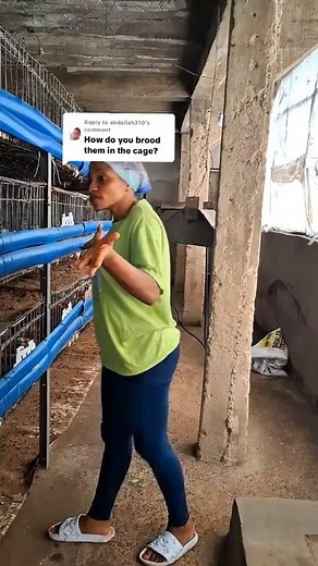 Here, brooding is easy… once you know what actually matters. #Plus2valuefarms #broilerfarming | Plus2value farms