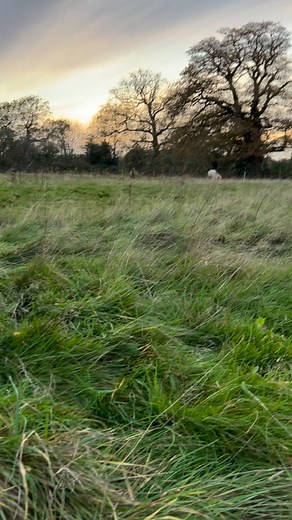 226 reactions · 47 comments | Life’s full of little surprises and today was no exception! The randomest of things appeared on my land and I just so happened to walk past it. | Kelly Brown Equine Podiatrist | Facebook