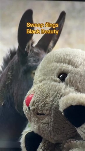 #sweep #sooty #tvthemesongs #blackbeauty | Houseofjabba TheHutt