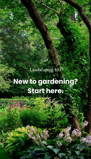8.7K views · 32 reactions | Part one of our beginners guide to gardening! Follow along for tips on landscape layout. pairing plants, and garden care.Tap the link in our bio to get trees & plants delivered. .#gardeningforbeginners #gardening #landscaping #landscapedesi̇gn #gardeningtips #gardening101 #landscapingideas #fastgrowingtrees | Fast Growing Trees | Facebook