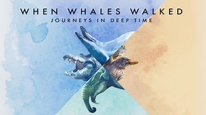 When Whales Walked: Journeys in Deep Time Intro | When Whales Walked: Journeys in Deep Time