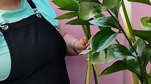 lv_0_20220420183638.mp4