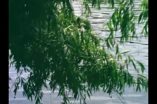 Blind Faith perform at London's Hyde Park, 1969 Only live concert video of this group and their first gig! | Top Hat Crew's "Live Music Archives"