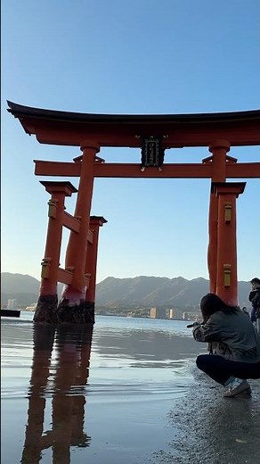 厳島神社の大鳥居⛩️ 干潮時に海の中の目の前から参拝 #旅行 #japan