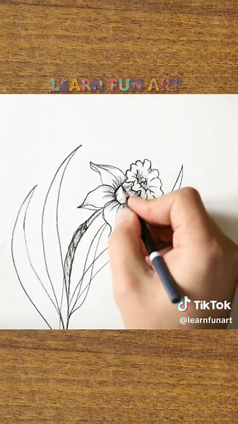 Step-by-Step Daffodil Drawing Tutorial for Artists