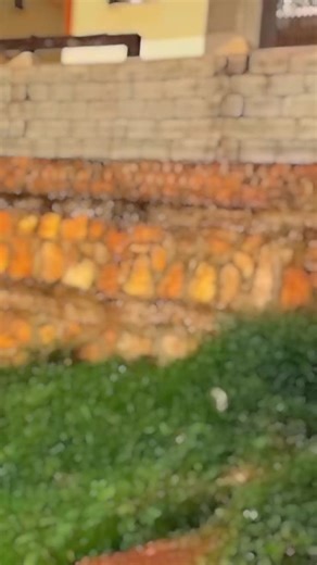 Ani unstoppable by alien skin🔥🔥🔥#foryou