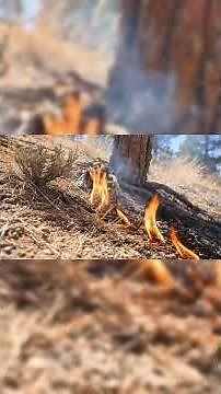 U.S. Wildfires Today: 66 Large Fires Burning 718,856 Acres (Sep 7, 2025)