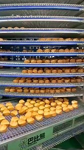 Amazing Technology Bread Making Machine !! | Offroad club pakistan