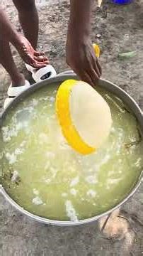 Master Haitian Cuisine: Cook Perfect White Rice & Lalo with Us! #HaitianFood #CookingTutorial