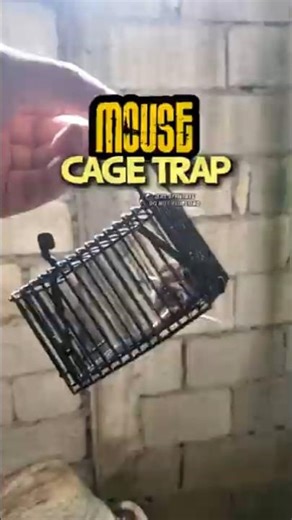 Effective Mouse Cage Trap – Safe & Reusable 🐭🔥