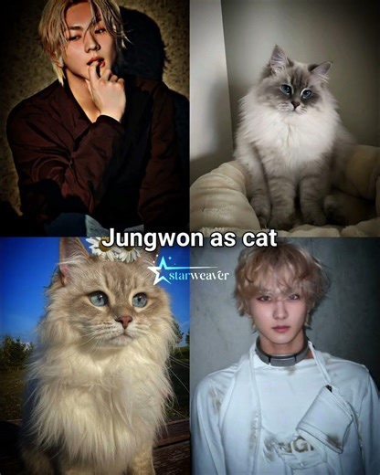 Enhyphen members as their spirit animals ✨#enhyphen #trending #fyp#aesthetic #sunghoon#heesung#niki