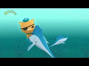 Octonauts - The Speedy Sailfish