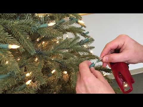 NeumanTree Light Maintenance and Repair