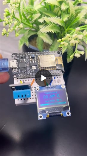 ESP8266 + DHT11 + OLED | Mahade Hassan