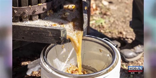 Hands and Harvest Festival