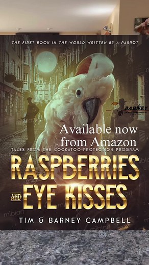 Barney’s new book is out on Amazon now! A book of Barney’s stories! Most of those videos were pretty long so they got posted on our YouTube and Facebook. Plus almost 100 photo pages are in there too! 🧡 #westcoastbarney #barneythewestcoastcockatoo #book #author #story #firstbookintheworldwrittenbyaparrot #fun #happy #barney #smart