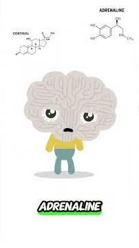 Your brain has a built-in smoke alarm system. It’s called the amygdala.