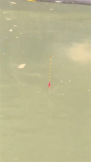Fishing techniques for using large baits to catch carp in china