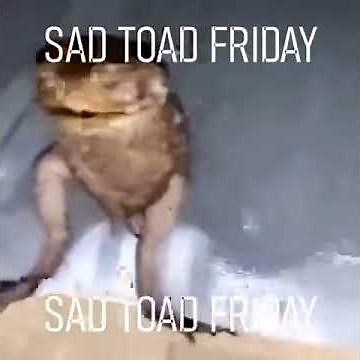 Sad Toad Friday