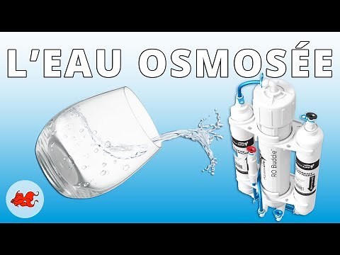 Eau osmosée pour aquarium