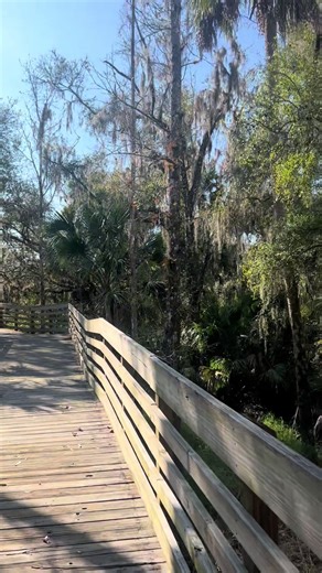 #nature #naturewalk #florida